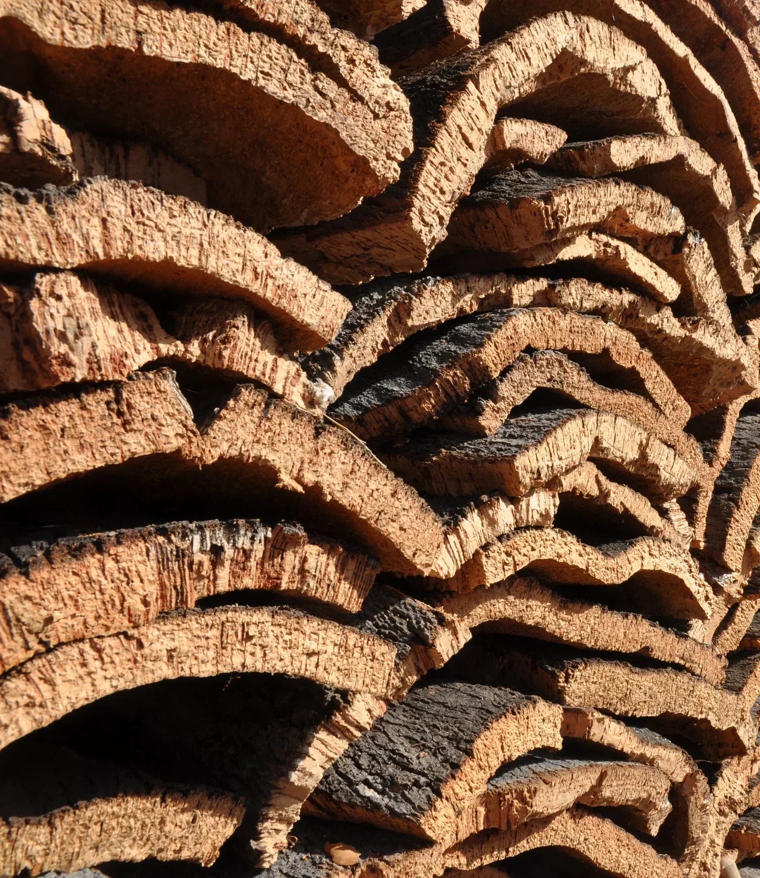 Cork